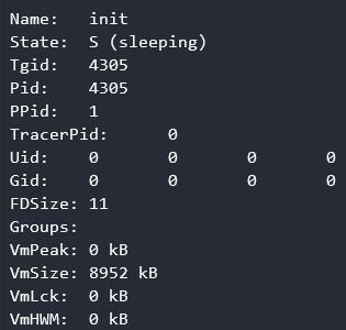proc file process example